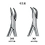 Extraction Forcep 루트용 :: Osung 3~4일 소요
